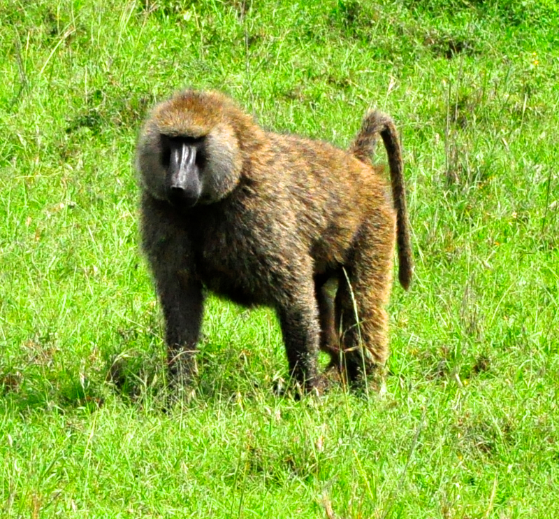 Melanie Heinrich Travel Images Africa